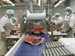 управление мясоперерабатывающим производством
